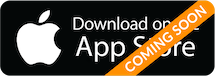 Picture of the iOS app store icon